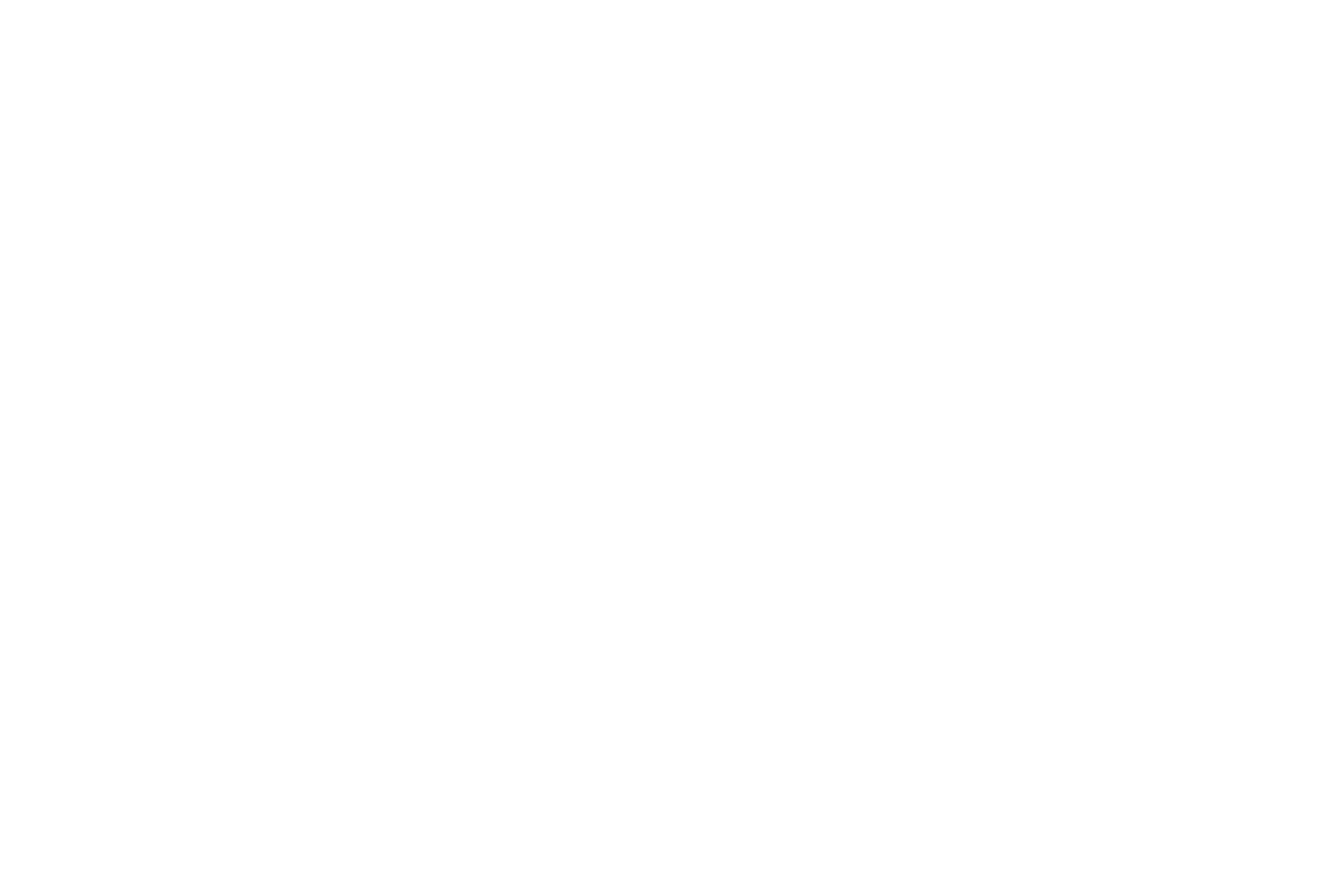 iRise Logo